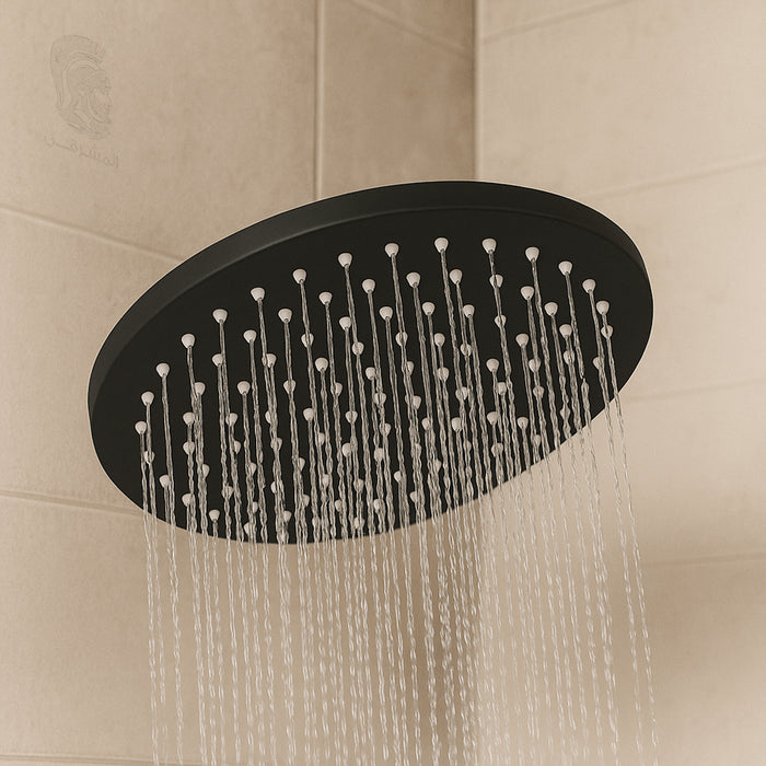 ( طلب مسبق )  طاسة دش مستوردة SSH 25B دائرية اسود 25 سم استانلس ستيل قطعة واحدة