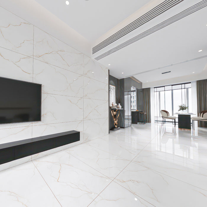 ( طلب مسبق )  بورسلين هندي 459 لامع فرز اول 60 × 120 سم من كيراميكا