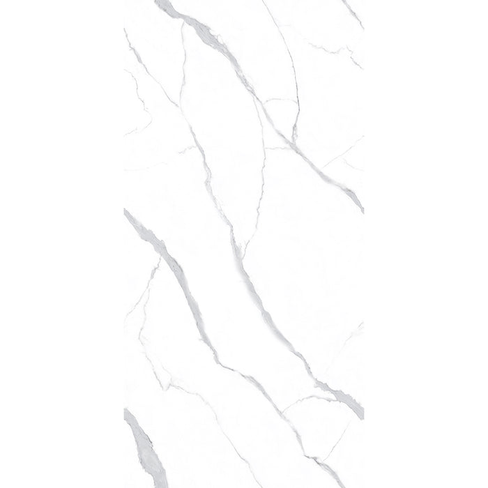 ( طلب مسبق )  بورسلين هندي 259 لامع فرز اول 60 × 120 سم من كيراميكا