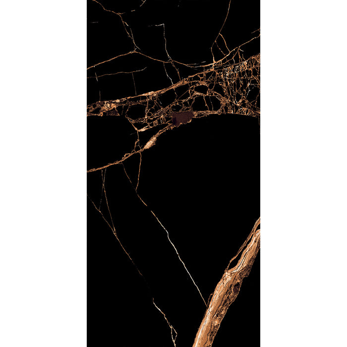 ( طلب مسبق )  بورسلين هندي 310 لامع فرز اول 60 × 120 سم من كيراميكا