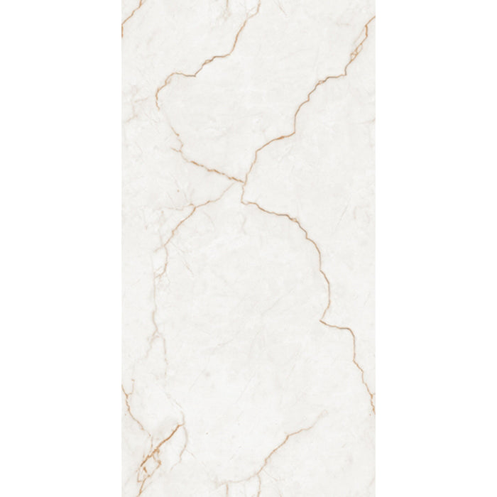 ( طلب مسبق )  بورسلين هندي 459 لامع فرز اول 60 × 120 سم من كيراميكا