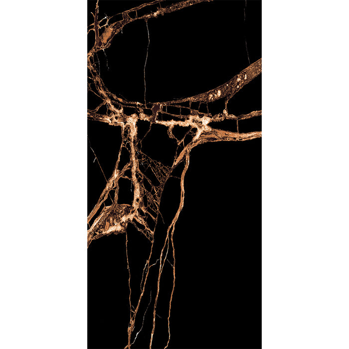 ( طلب مسبق )  بورسلين هندي 310 لامع فرز اول 60 × 120 سم من كيراميكا