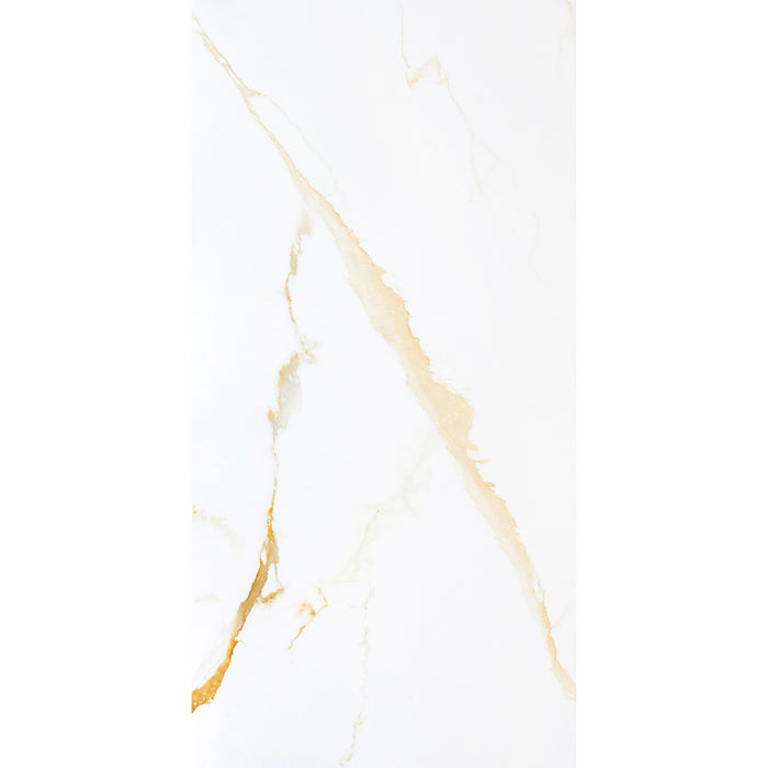 ( طلب مسبق )  بورسلين هندي MS 12411 فرز اول 60 × 120 سم لامع