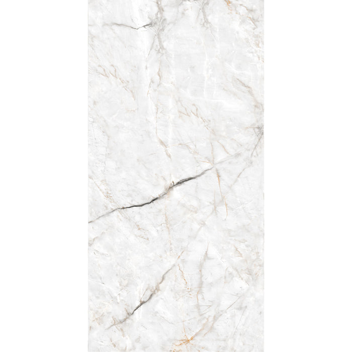 ( طلب مسبق )  بورسلين اليجانت 5005 فرز اول 60 × 120 سم لامع