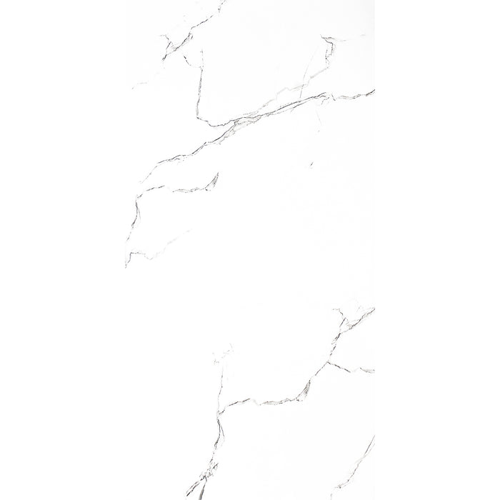 ( طلب مسبق )  بورسلين هندي كيراميكا AW 066 فرز اول 60 × 120 سم لامع