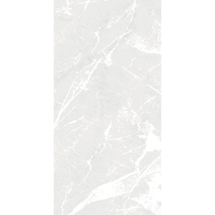 ( طلب مسبق )  بورسلين بورسيلوكس P 3003 جراي فرز اول 60 × 120 سم لامع