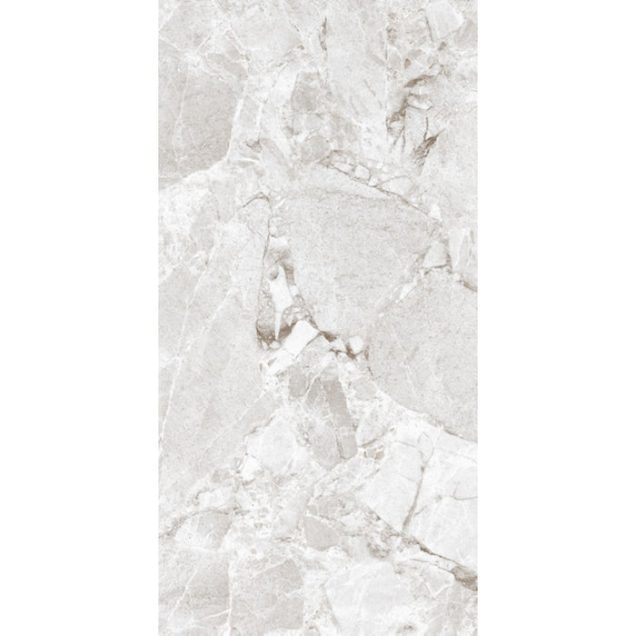 ( طلب مسبق )  بورسلين اليجانت 5009 جراي فرز اول 60 × 120 سم لامع