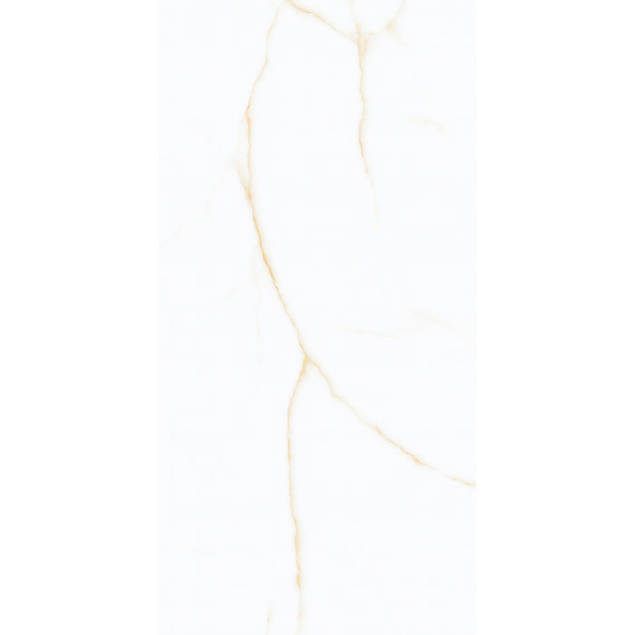 ( طلب مسبق )  بورسلين هندي MS 12407 فرز اول 60 × 120 سم لامع