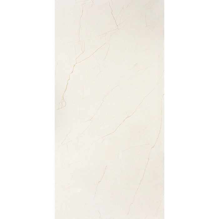 ( طلب مسبق )  بورسلين هندي كيراميكا AW 212 فرز اول 60 × 120 سم لامع