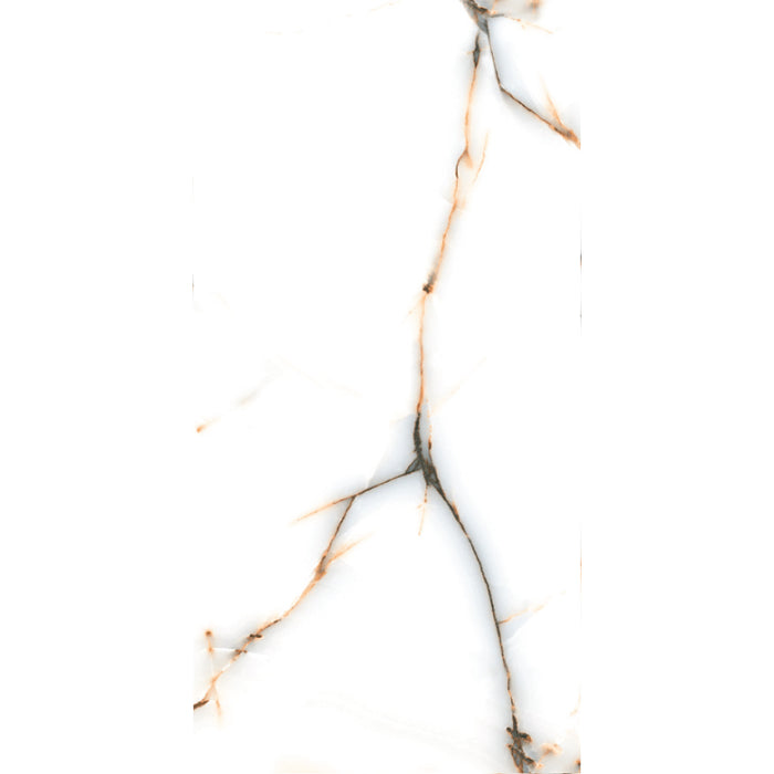 ( طلب مسبق )  بورسلين بورسيلوكس P 3010 فرز ثاني 60 × 120 سم لامع