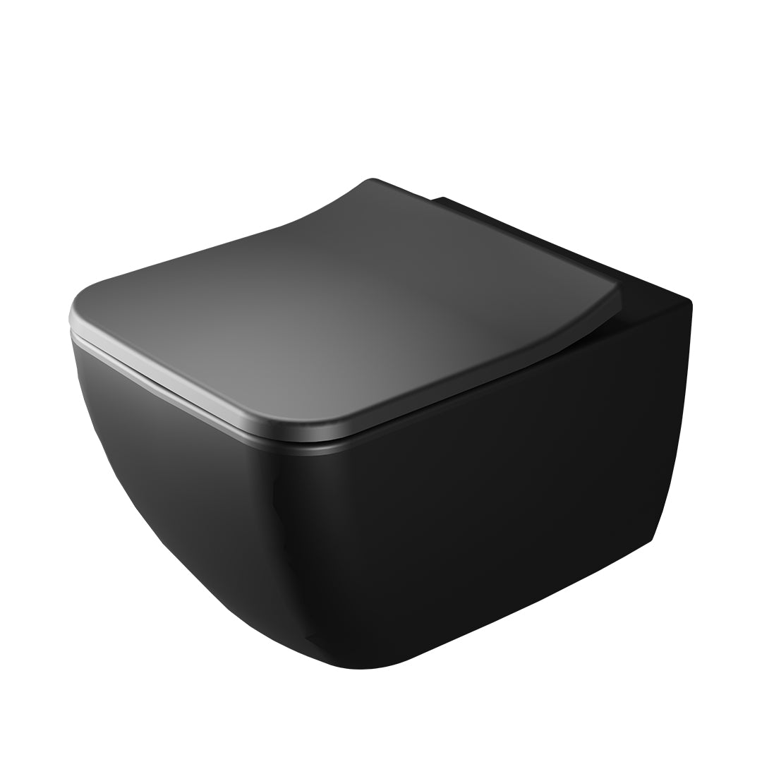 ( طلب مسبق )  مرحاض معلق فيلروي اند بوخ فانتيشللو 4611B338 اسود مط ريمليس بالسيديلي ذاتي الغلق والمقبض والشطاف الداخلي ومجموعة التثبيت