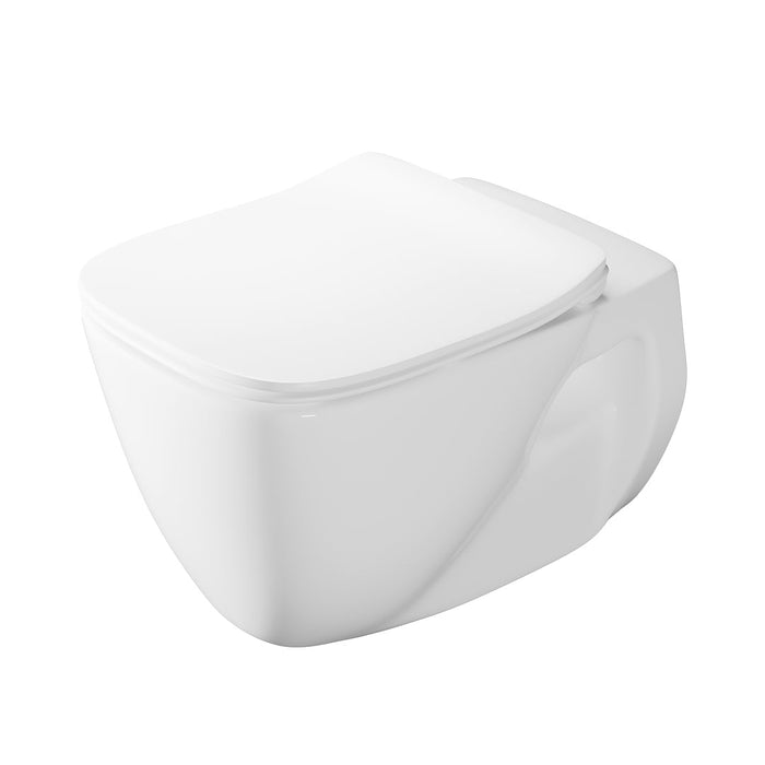 ( طلب مسبق )  مرحاض معلق فيلروي اند بوخ ارشيتكتورا 5C33B301 ابيض ريمليس بالسيديلي ذاتي الغلق والمقبض والشطاف الداخلي ومجموعة التثبيت