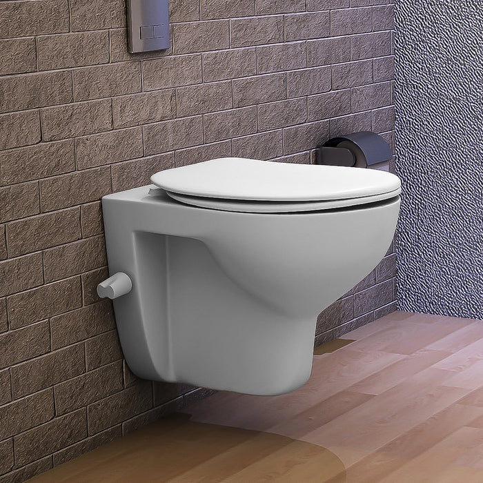 ( طلب مسبق )  مرحاض معلق ايديال ستاندرد سبيس G 0491 ابيض بالسيديلي والشطاف الداخلي بالمقبض ومجموعة التثبيت