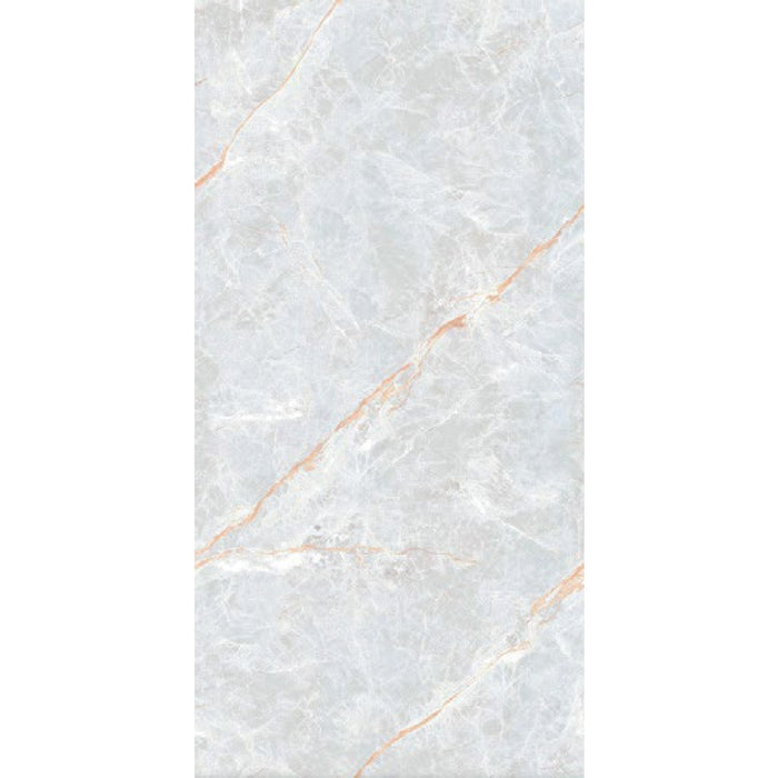 ( طلب مسبق )  بورسلين بورسيلوكس P 3000 جراي فرز اول 60 × 120 سم لامع