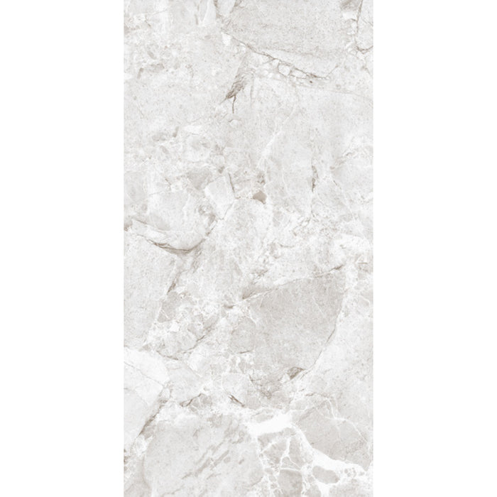 ( طلب مسبق )  بورسلين اليجانت 5009 جراي فرز اول 60 × 120 سم لامع