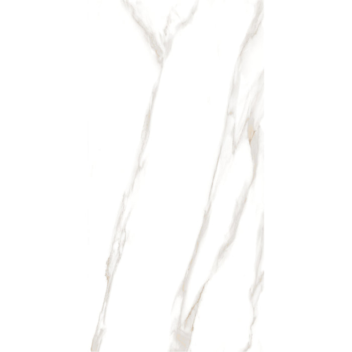 ( طلب مسبق )  بورسلين اليجانت 5016 فرز اول 60 × 120 سم لامع