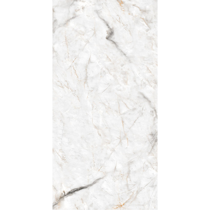 ( طلب مسبق )  بورسلين اليجانت 5005 فرز اول 60 × 120 سم لامع