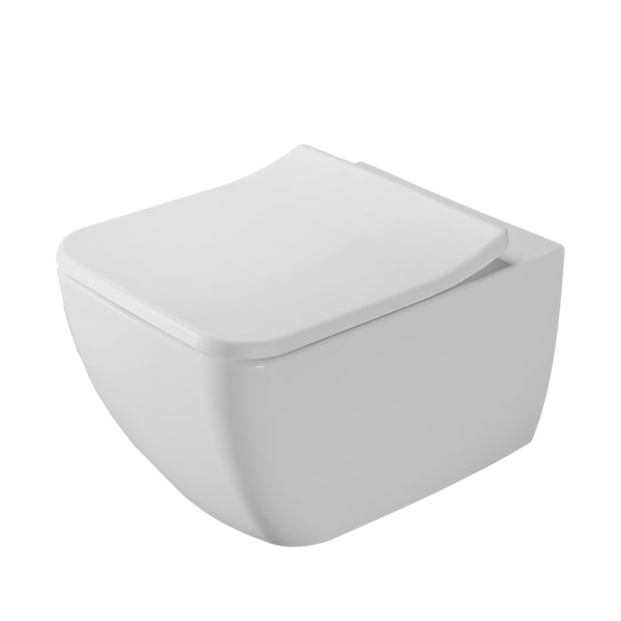 ( طلب مسبق )  مرحاض معلق فيلروي اند بوخ فانتيشللو 4611B301 ابيض لامع ريمليس بالسيديلي ذاتي الغلق والمقبض والشطاف الداخلي ومجموعة التثبيت