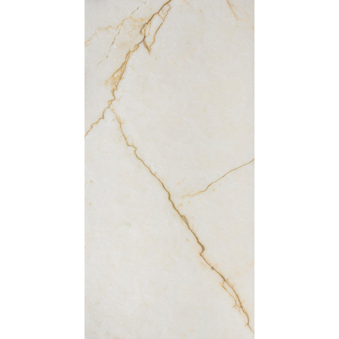 ( طلب مسبق )  بورسلين هندي MS 43 فرز اول 60 × 120 سم لامع