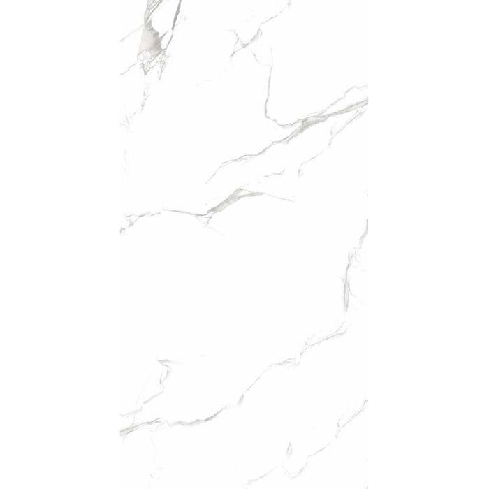 ( طلب مسبق )  بورسلين هندي كيراميكا AW 066 فرز اول 60 × 120 سم لامع