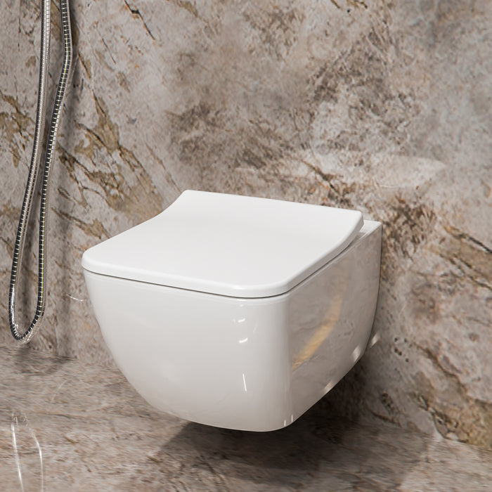 ( طلب مسبق )  مرحاض معلق فيلروي اند بوخ فانتيشللو 4611B301 ابيض لامع ريمليس بالسيديلي ذاتي الغلق والمقبض والشطاف الداخلي ومجموعة التثبيت