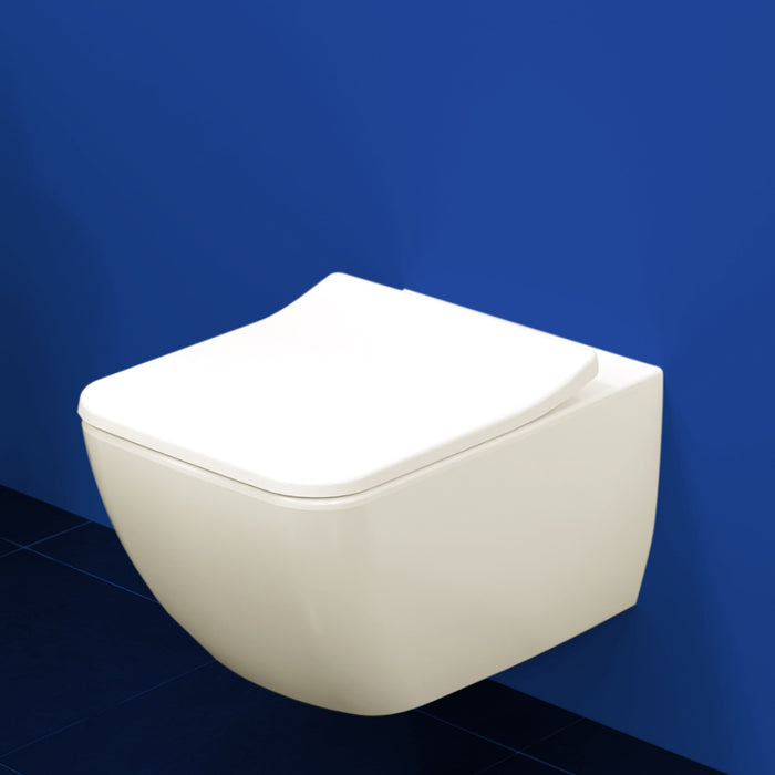 ( طلب مسبق )  مرحاض معلق فيلروي اند بوخ فانتيشللو 4611B301 ابيض لامع ريمليس بالسيديلي ذاتي الغلق والمقبض والشطاف الداخلي ومجموعة التثبيت