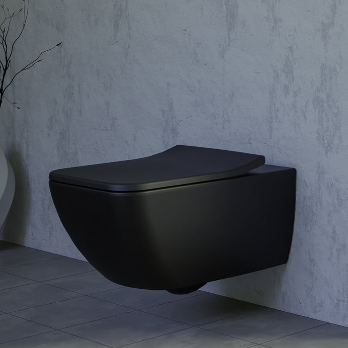 ( طلب مسبق )  مرحاض معلق فيلروي اند بوخ فانتيشللو 4611B338 اسود مط ريمليس بالسيديلي ذاتي الغلق والمقبض والشطاف الداخلي ومجموعة التثبيت