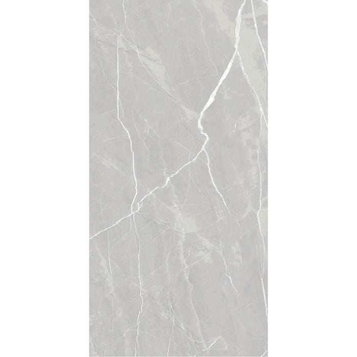 ( طلب مسبق )  بورسلين بورسيلوكس P 3002 دارك جراي فرز اول 60 × 120 سم لامع