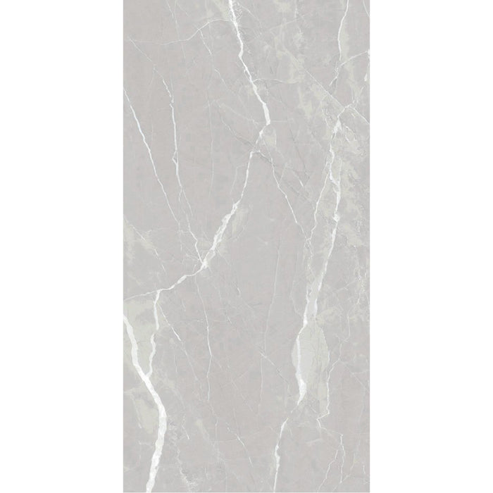 ( طلب مسبق )  بورسلين بورسيلوكس P 3002 دارك جراي فرز اول 60 × 120 سم لامع