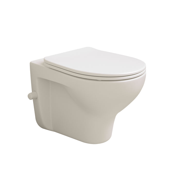 ( طلب مسبق )  مرحاض معلق ايديال ستاندرد سبيس G 0491 برجامون بالسيديلي والشطاف الداخلي بالمقبض ومجموعة التثبيت