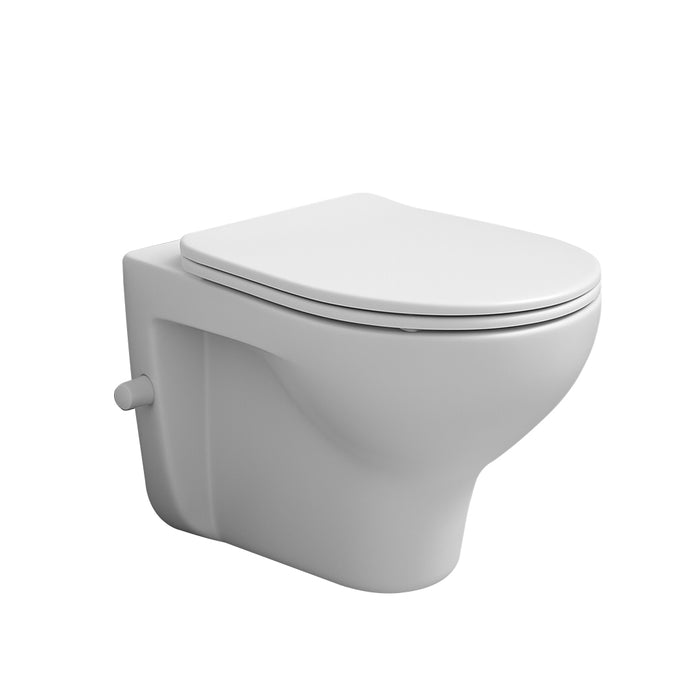 ( طلب مسبق )  مرحاض معلق ايديال ستاندرد سبيس G 0491 ابيض بالسيديلي والشطاف الداخلي بالمقبض ومجموعة التثبيت