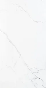 بورسلين هندي MASH 4086 فرز اول 60 × 120 سم لامع