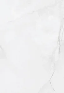 بورسلين اليجانت 5004 فرز اول 60 × 120 سم لامع