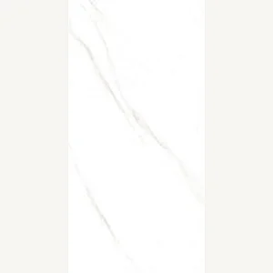 بورسلين ارضيات وحوائط ريجينسي 600103 ابيض فرز اول 60 × 120 سم لامع