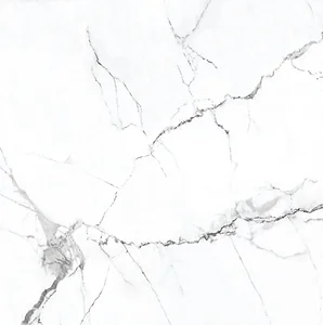سيراميك ارضيات اليجانت 6019  مقاس  60.5  ×  60.5 قطع ليزر فرز اول