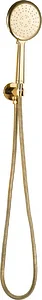 Global Standard Mira GSS 3515 - 2 GP Concealed Shower Head Set with Elbow, Gold, 3-Spray System with 150 cm Stainless Steel Hose