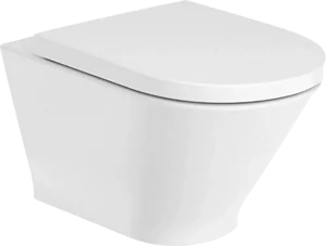 Roca Gap Round A3460NL000 Wall-Hung Toilet with Shower and Soft-Close Toilet Seat & Cover, White