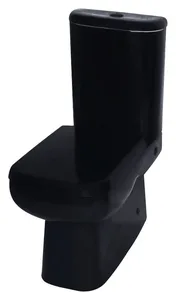 Mica Vit Cistern with Mechanism, Glossy Black
