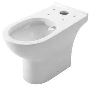 Emilia P-Trap Toilet with Bidet Spray, White