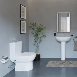 طقم حمام هانزجروهي جليد ليك S White كومبنيشن كامل وحوض 60 cm With Full Pedestal