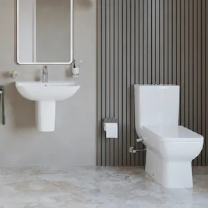 طقم حمام هانزجروهي جريك تايد Q White كومبنيشن كامل وحوض 55 cm With Wall-Hung Pedestal