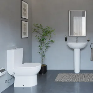 طقم حمام هانزجروهي جليد ليك S White كومبنيشن بالسيديلي Self-Closing وحوض 60 cm With Full Pedestal