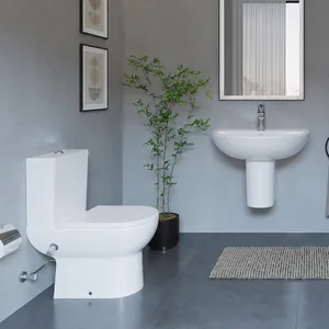 طقم حمام هانزجروهي جليد ليك S White كومبنيشن كامل وحوض 55 cm With Wall-Hung Pedestal