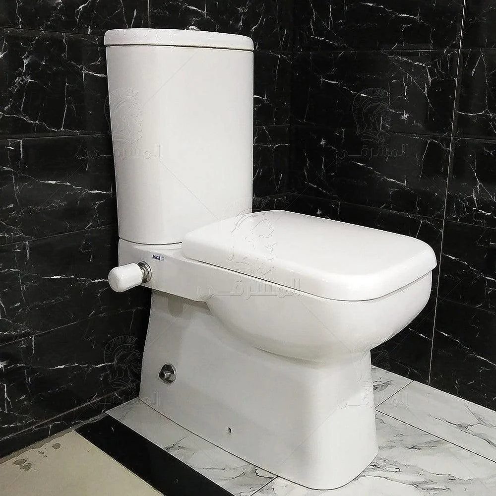 Mica Vit Mical Back-to-Wall Toilet with Plastic Toilet Seat & Cover, Cistern, Mechanism, Internal Bidet Spray and Fixing Set, Pergamon