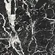 Spanish Grand Antique Premium Porcelain, First Choice, Glossy 120 × 120 cm - Image 1