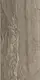EOS Mocha Glossy Porcelain, First Choice, 60 × 120 cm, Spanish Import - Image 1
