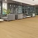 Beroia Wood Panel SPC Parquet Alternative, Code PLATANO 1405, 17.78 × 121.92 cm, 5 mm Thickness, Imported Turkish - Image 3