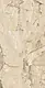 Indian Porcelain 183 Polished Beige, First Choice, 60 × 120 cm from Keramika - Image 4