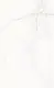 Keramika Indian Porcelain 056 Glossy, First Choice, 60 × 120 cm - Image 4