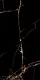 Indian Porcelain 310 Glossy, First Choice, 60 × 120 cm - Image 3